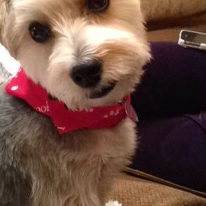 Meet your Posher, Susan